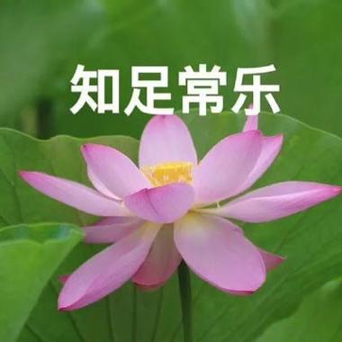 头像A